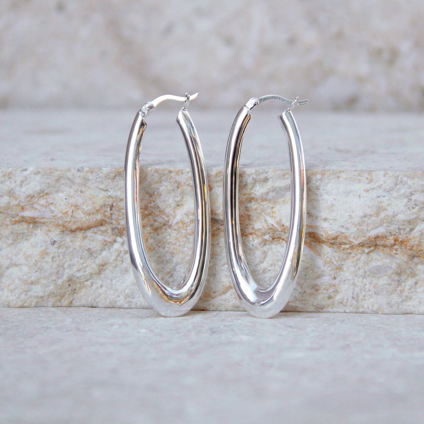 Basta Hoop Silver Twisted Earring 4