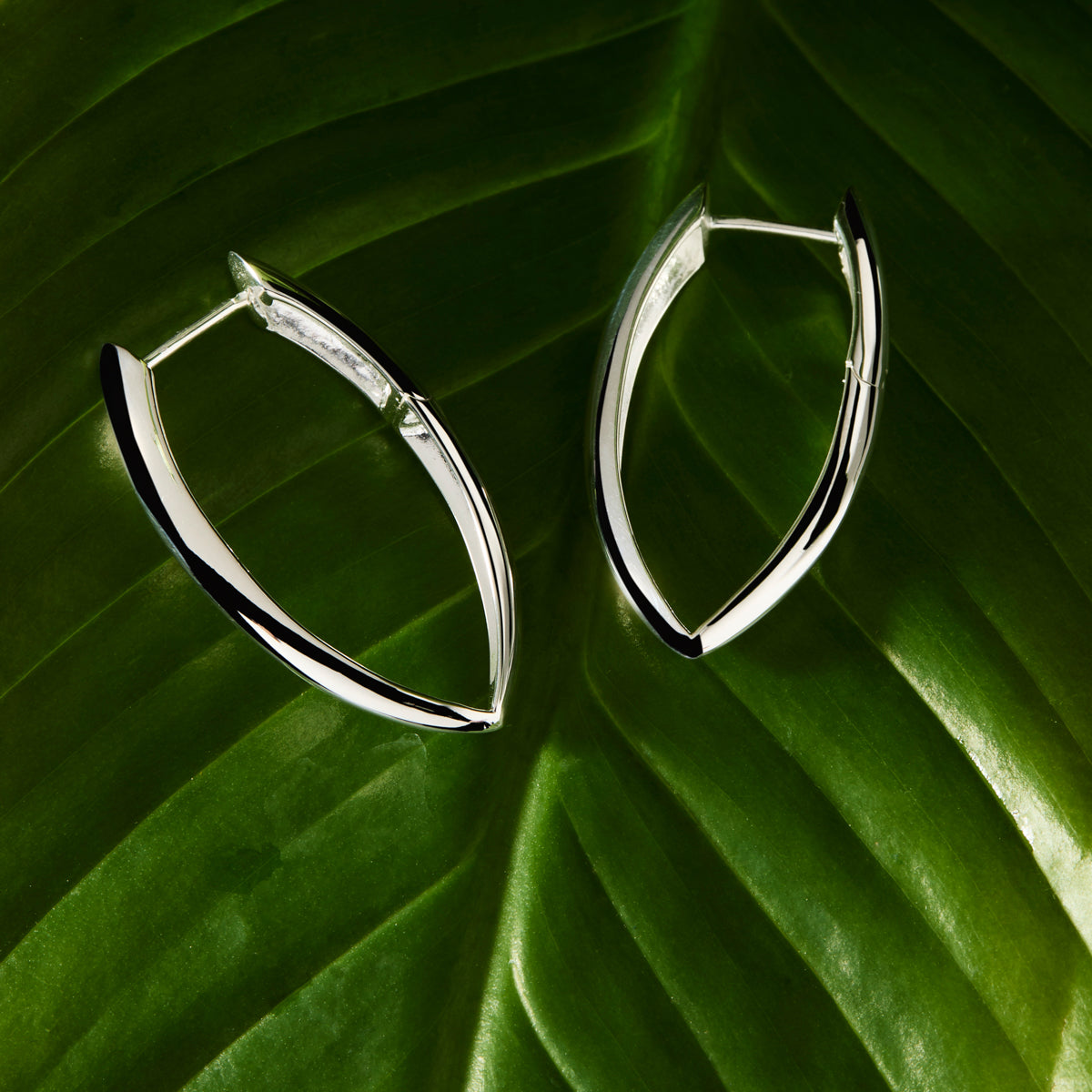 5mm Topiary Hoop Silver Earrings 3